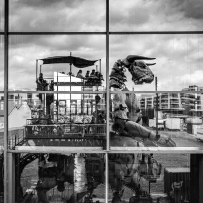 Ekiden de Toulouse 2026 - Photo 1