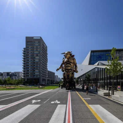 Ekiden de Toulouse 2026 - Photo 3