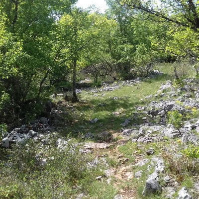 Trail de la Braunhie 2026 - Photo 1