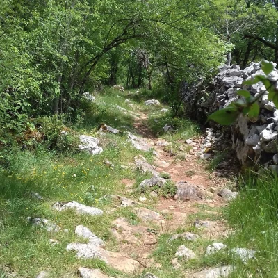 Trail de la Braunhie 2026 - Photo 6