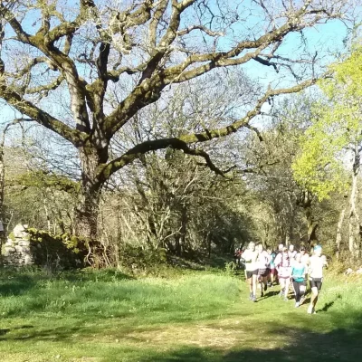 Trail de la Braunhie 2026 - Photo 7