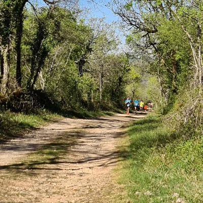 Trail de la Braunhie 2026 - Photo 9