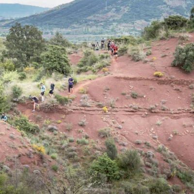 Trail des Terrasses du Lodèvois 2026 - Photo 1
