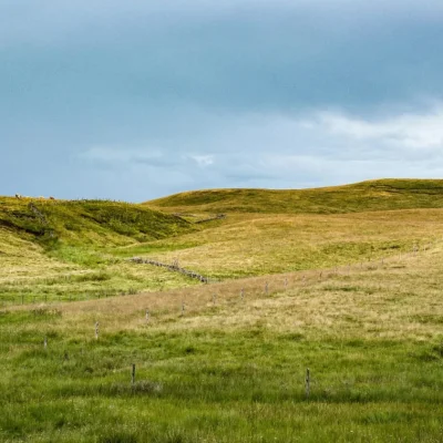 Transhumance Classic 2026 - Photo 1