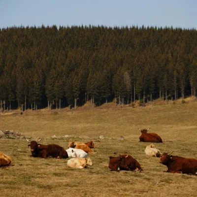 Transhumance Classic 2026 - Photo 3