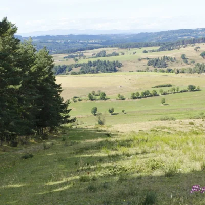 Trail Margeride 2026 - Photo 4