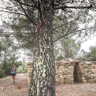 La Veni Vici 2026 - Photo 15