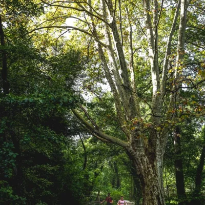 La Veni Vici 2026 - Photo 5