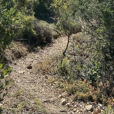 Trail Nature Entre Save Et Galop 2026