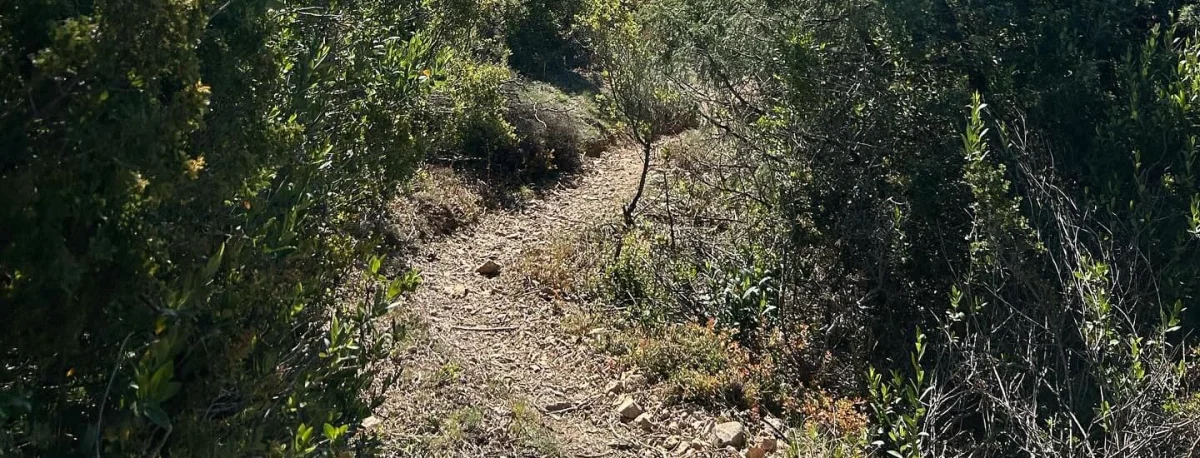 Trail Nature Entre Save Et Galop 2026