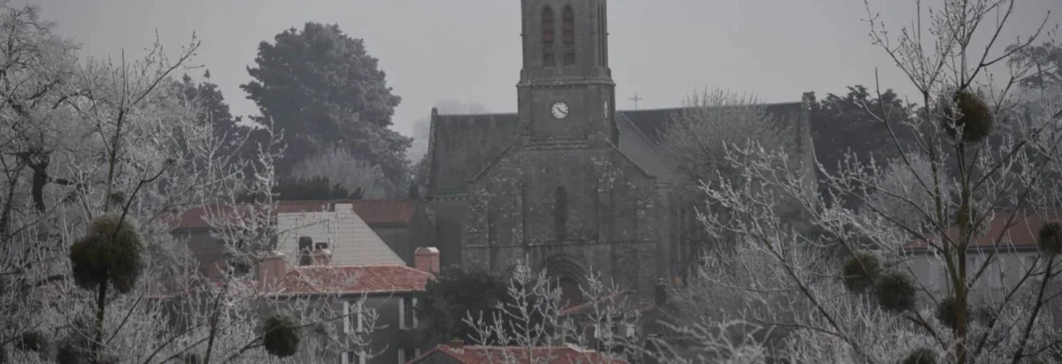 Trail du Freego 2026