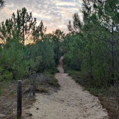 Enduro de la Forêt 2026 - Photo 1