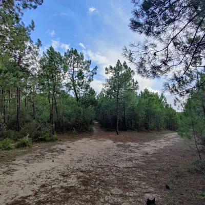 Enduro de la Forêt 2026 - Photo 2