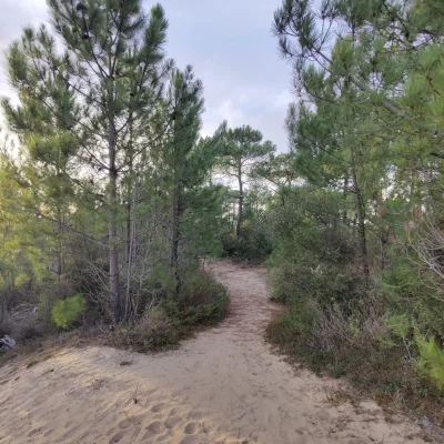 Enduro de la Forêt 2026 - Photo 3