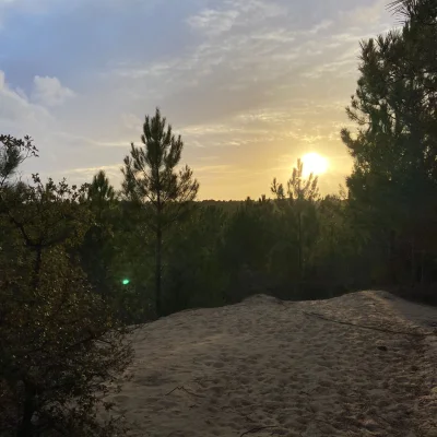 Enduro de la Forêt 2026 - Photo 4