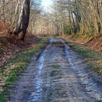 Les Foulées de Sarrigné 2026