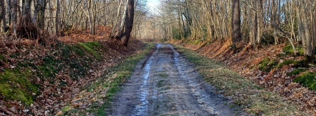 Les Foulées de Sarrigné 2026