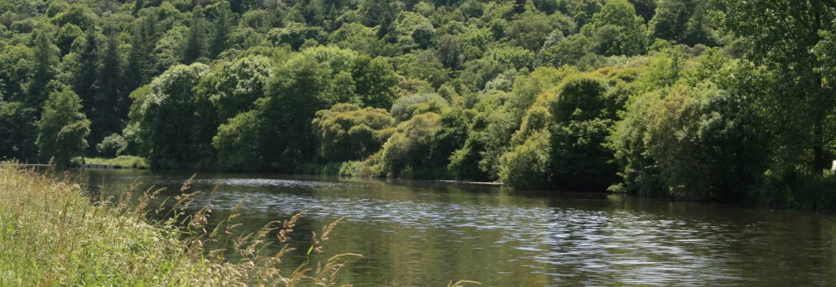 Semi-Marathon de Brière 2026