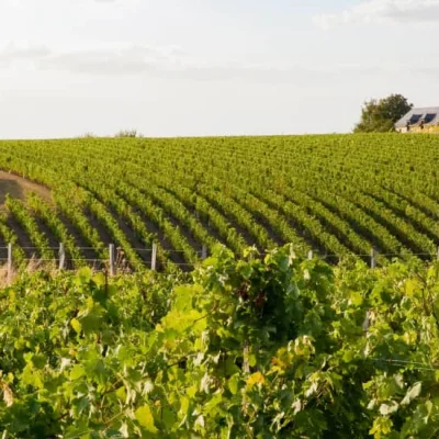 Défi Louvernéen 2026