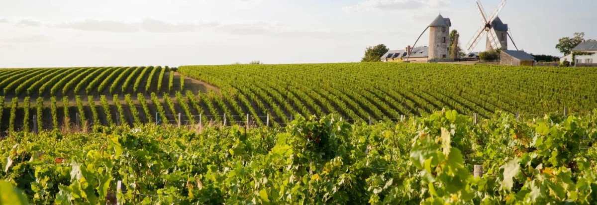 Défi Louvernéen 2026