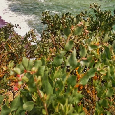 Atlantisport-Environnement 2026