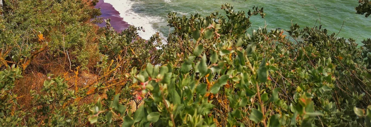 Atlantisport-Environnement 2026