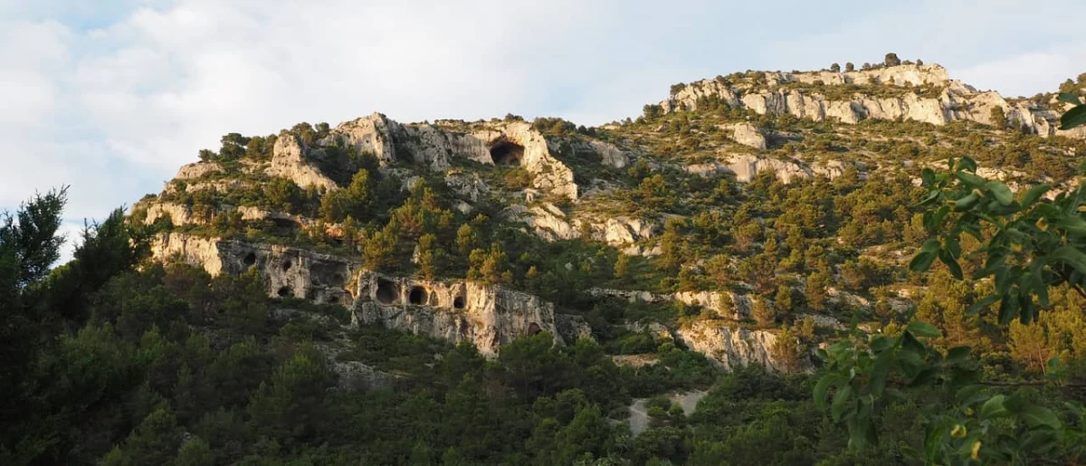 La course des Templiers 2026
