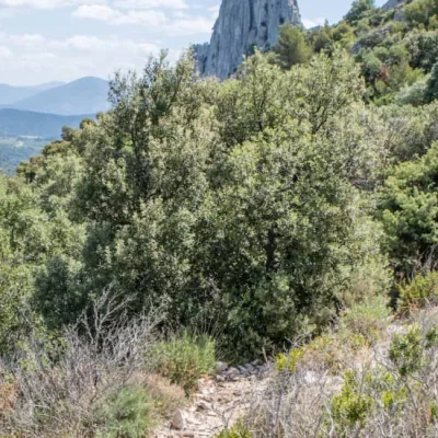 La Traversée des Dentelles 2026