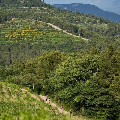 La Traversée des Dentelles 2026 - Photo 5