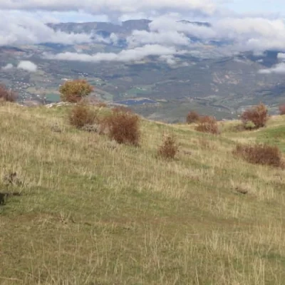 Trail de Digne-les-Bains 2026