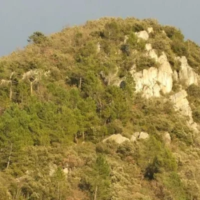 Les Foulées Bessoises 2026