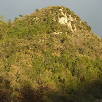 Les Foulées Bessoises 2026 - Photo 2