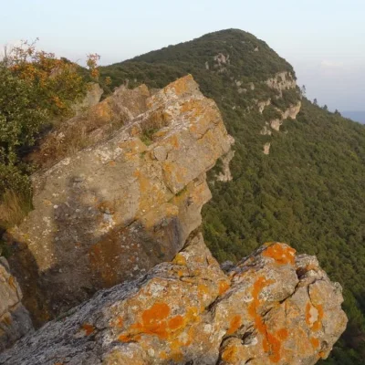 Les Foulées Bessoises 2026 - Photo 3