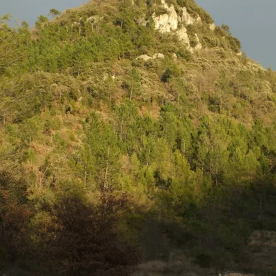 Les Foulées Bessoises 2026 - Photo 4