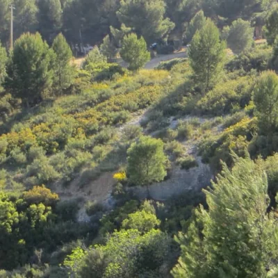 Les chemins de Sainte-Rosalie 2026