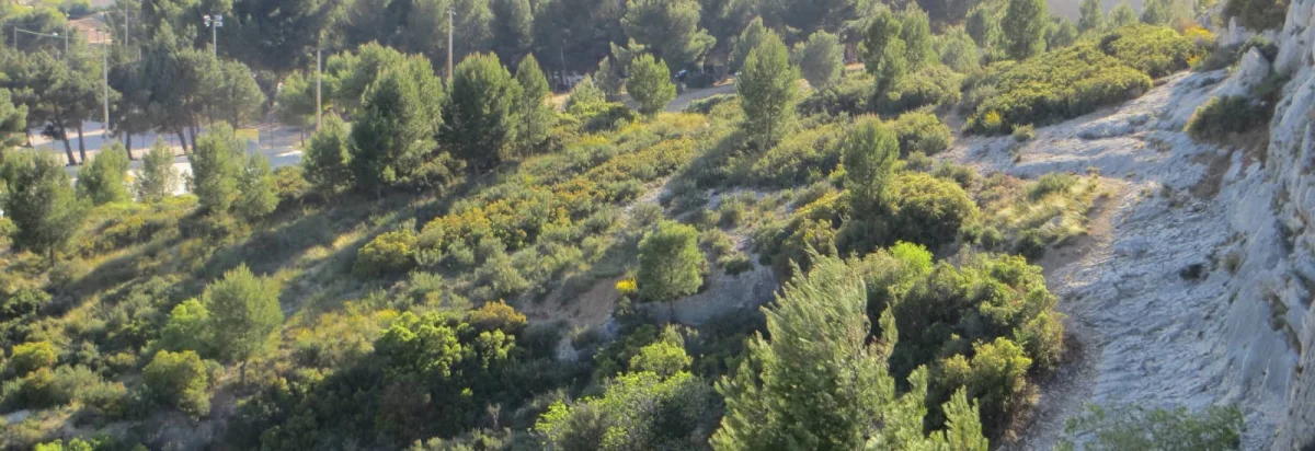 Les chemins de Sainte-Rosalie 2026