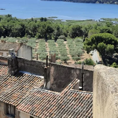 Backyard des Fadas 2026