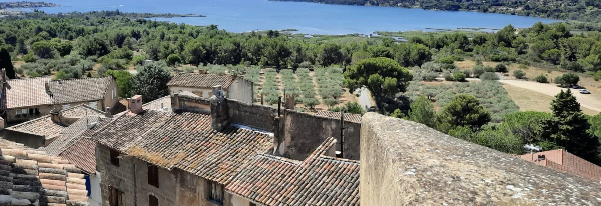 Backyard des Fadas 2026